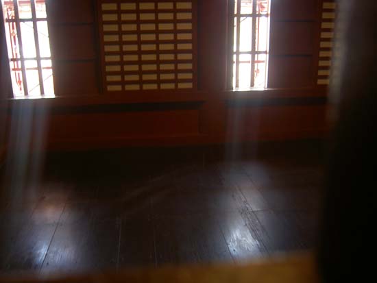 PICT5295
